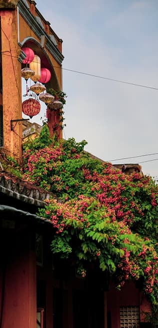 Hoi An View